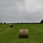 The Shepherds Hut @ Closehead Farm