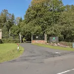 Treetops