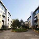 The Grove - Properties Unique