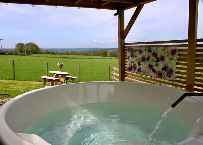 West Wood Yurts Ltd