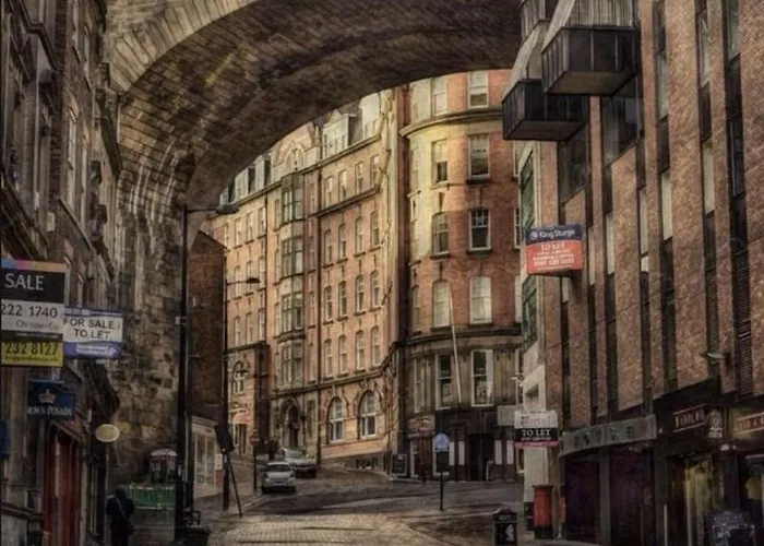 The Urban Nest