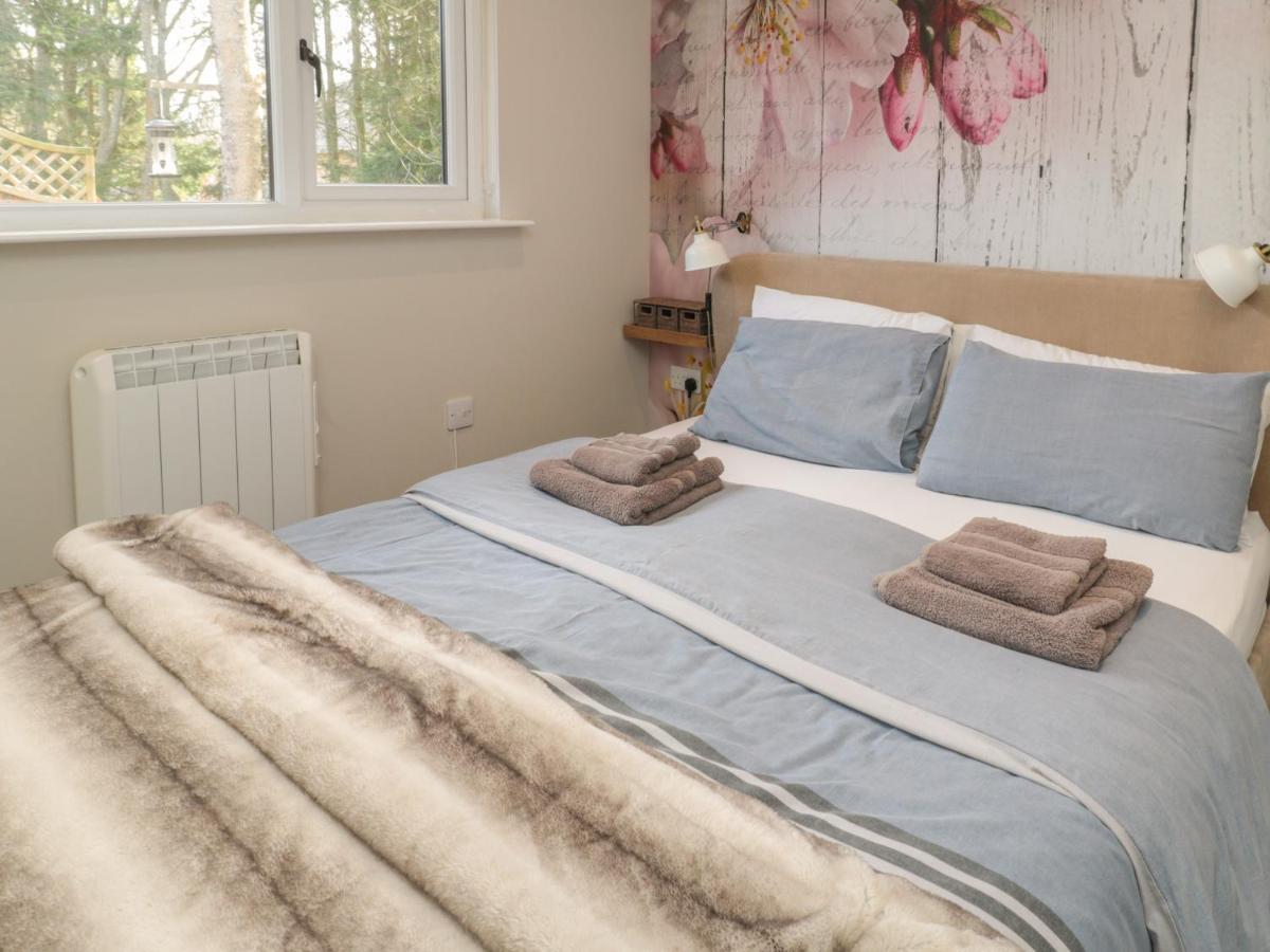 Barn Owl Holiday home Newcastle upon Tyne