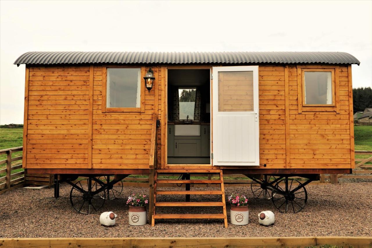 Campsite The Shepherds Hut @ Closehead Farm Newcastle upon Tyne