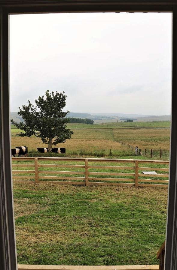 Campsite The Shepherds Hut @ Closehead Farm *