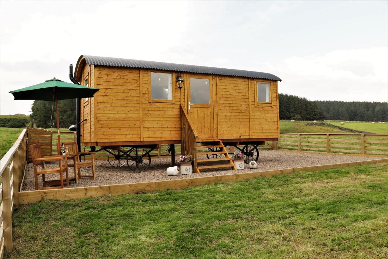 The Shepherds Hut @ Closehead Farm * Newcastle upon Tyne