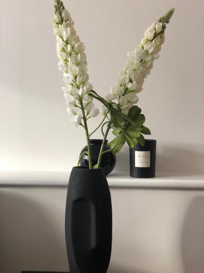 Modern 1 Bedroom Flat In Centre Apartment