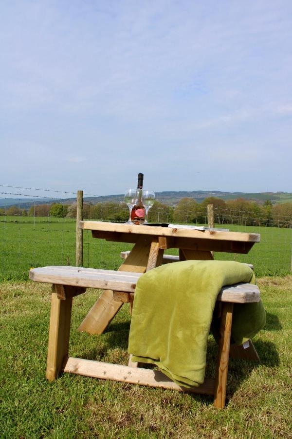Campsite West Wood Yurts Ltd *