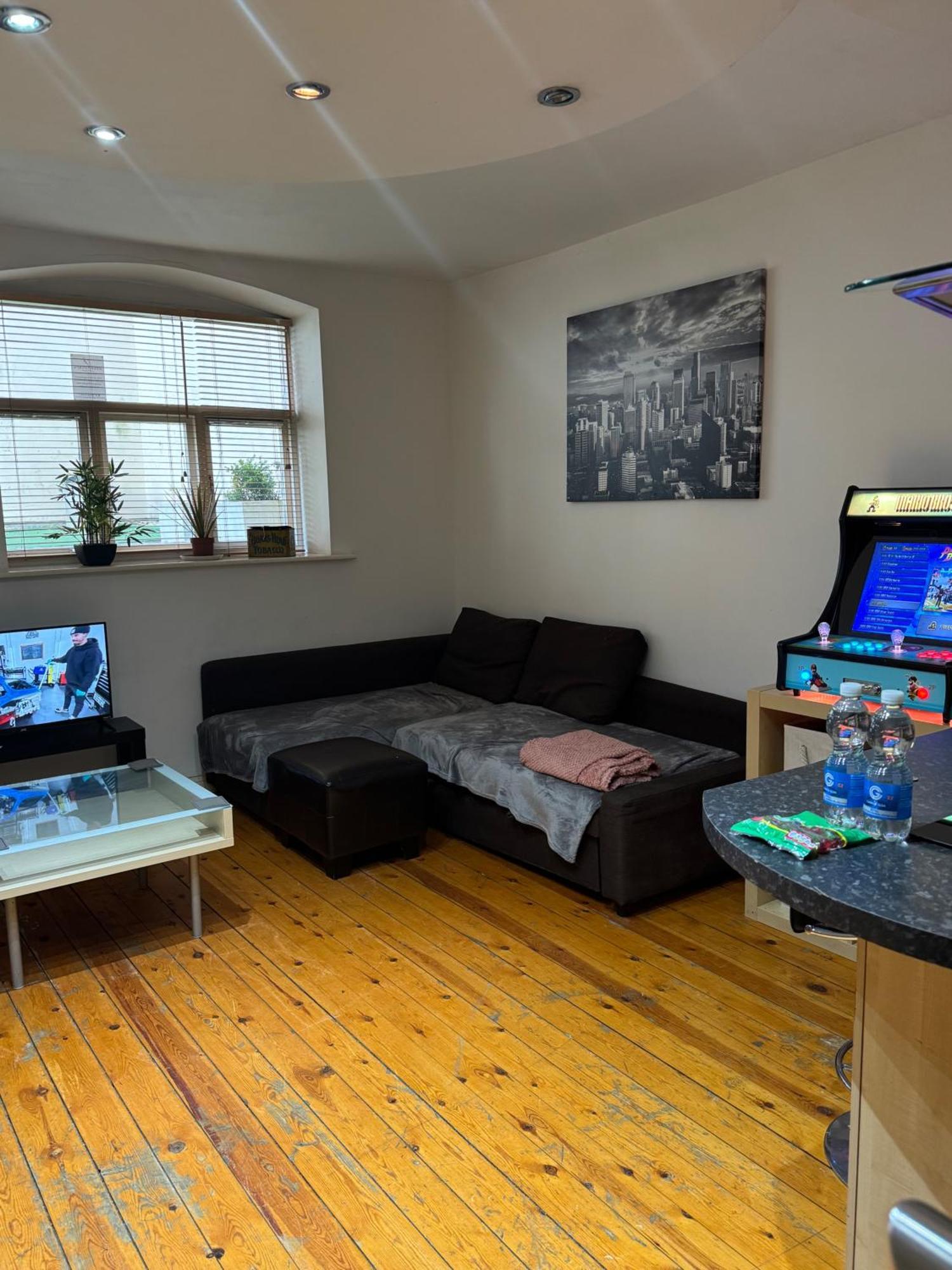 1br-wifi-freesnacks-freeparking-petsok-retroarcade