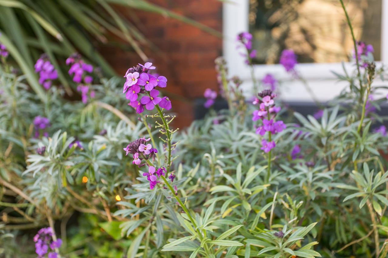 The Rosebery