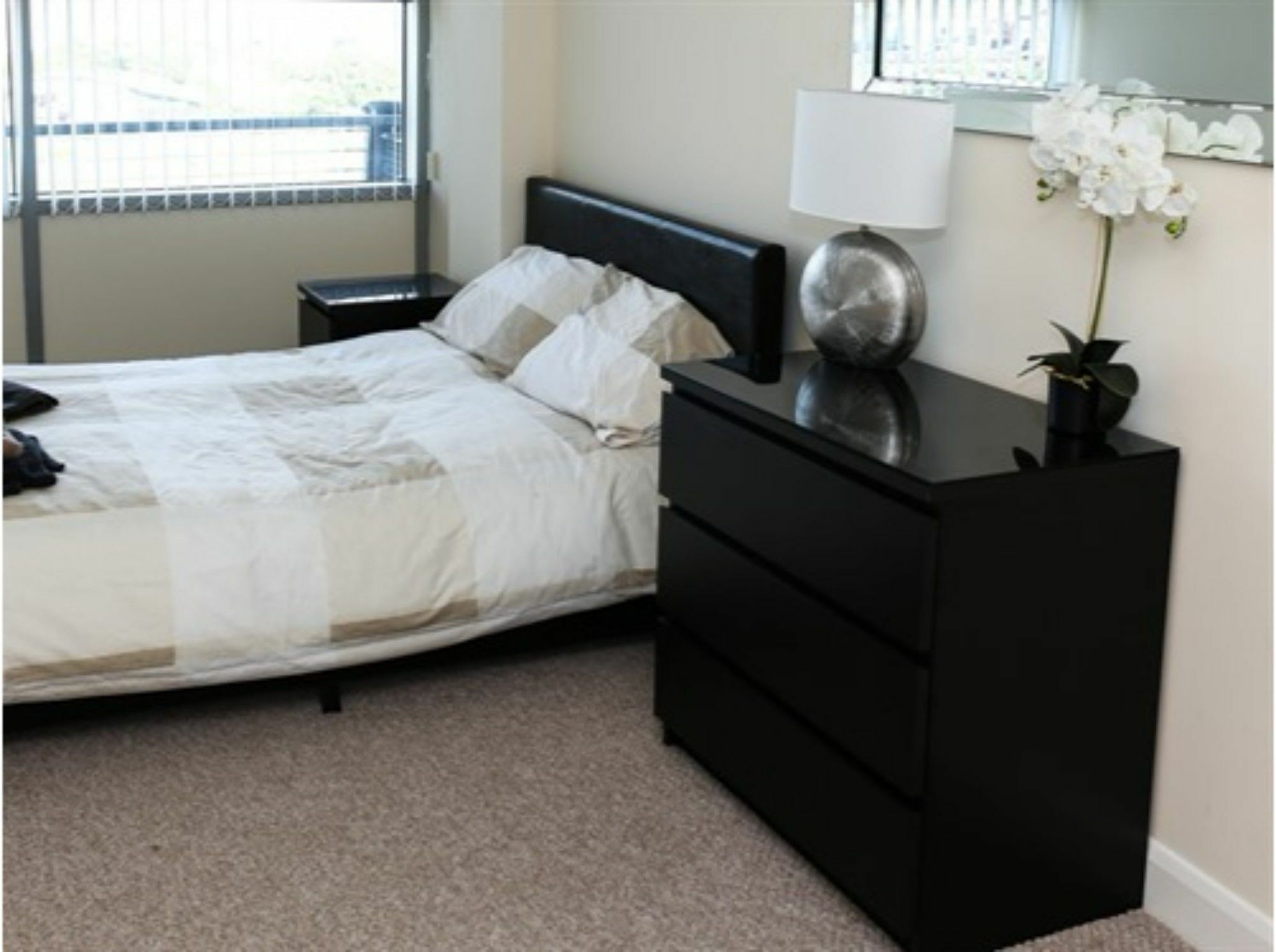 Alexander Apartment