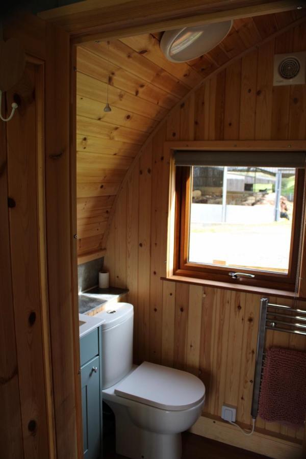 West Wood Yurts Ltd