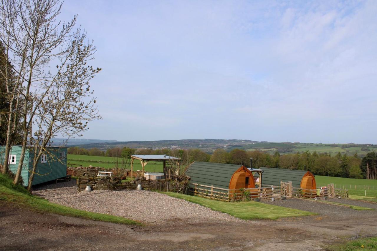 West Wood Yurts Ltd Campsite Newcastle upon Tyne