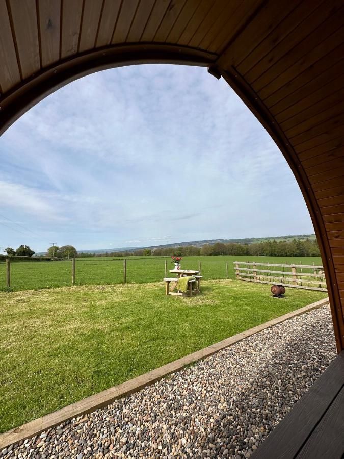 Campsite West Wood Yurts Ltd