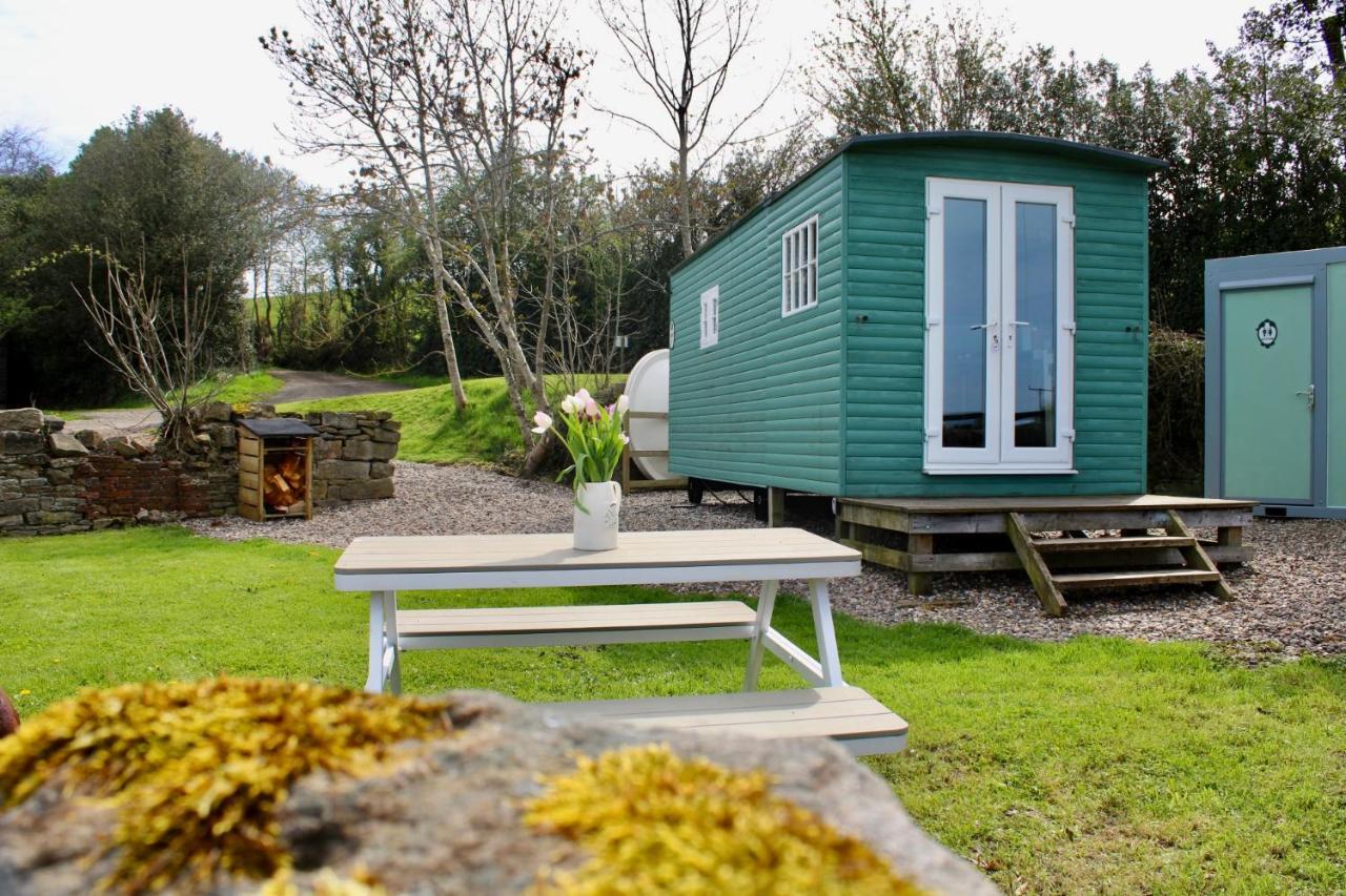 Campsite West Wood Yurts Ltd *