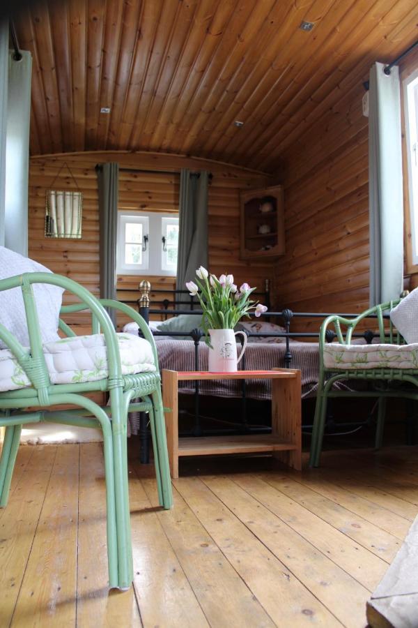 Campsite West Wood Yurts Ltd