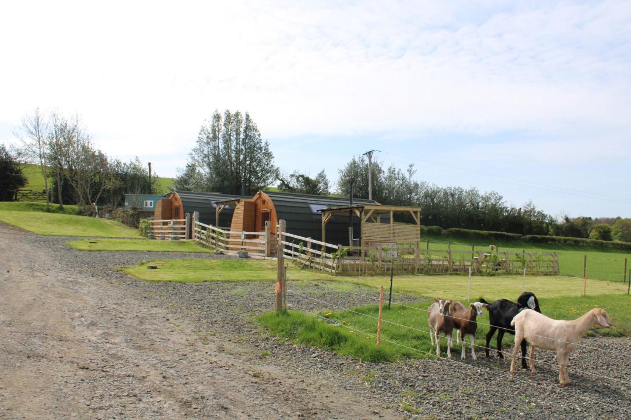 Campsite West Wood Yurts Ltd