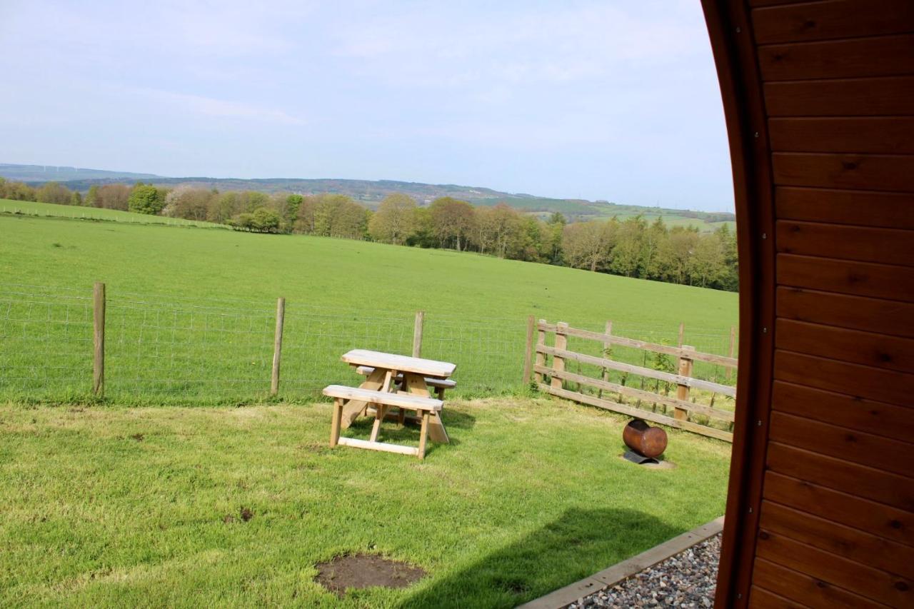 West Wood Yurts Ltd *