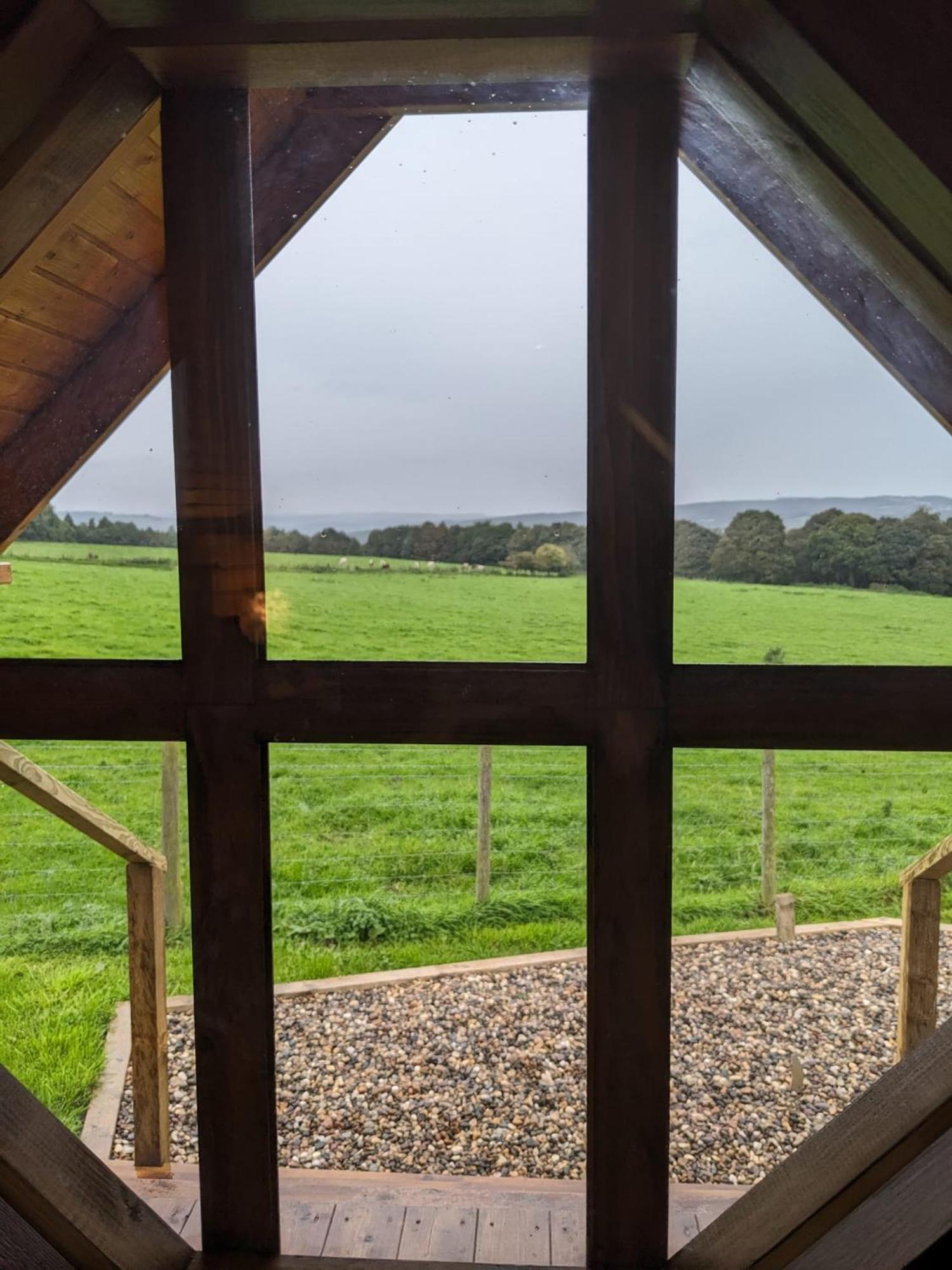 Campsite West Wood Yurts Ltd *