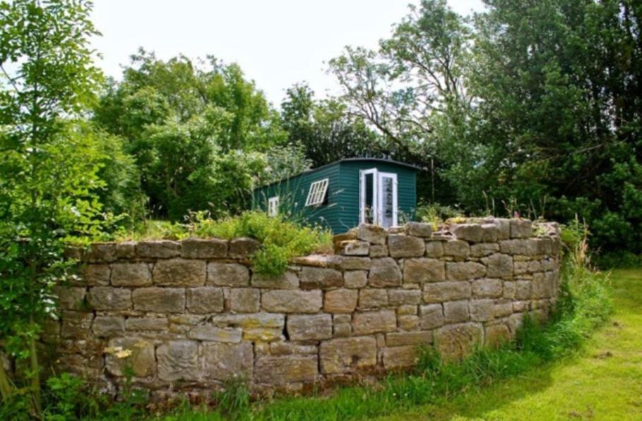 West Wood Yurts Ltd Newcastle upon Tyne