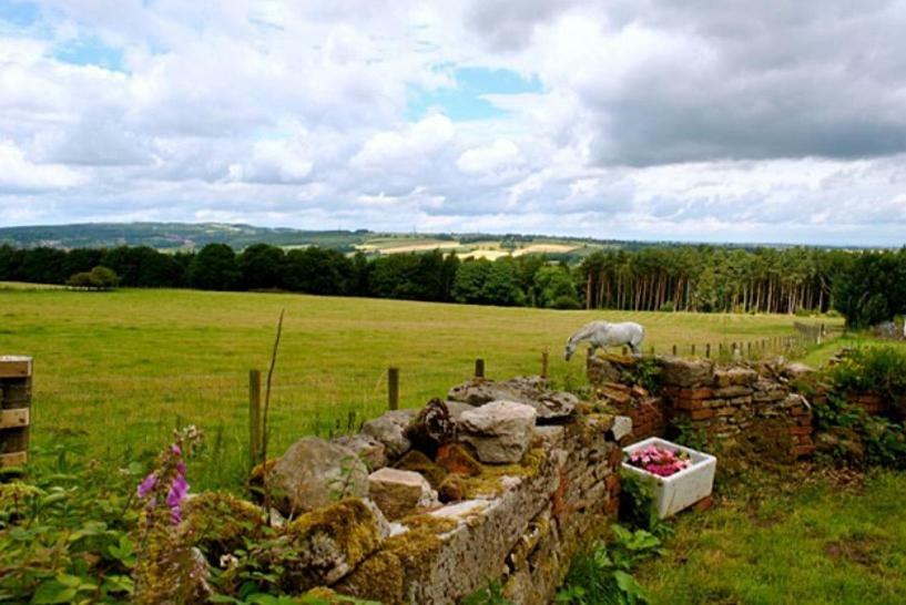 Campsite West Wood Yurts Ltd Newcastle upon Tyne