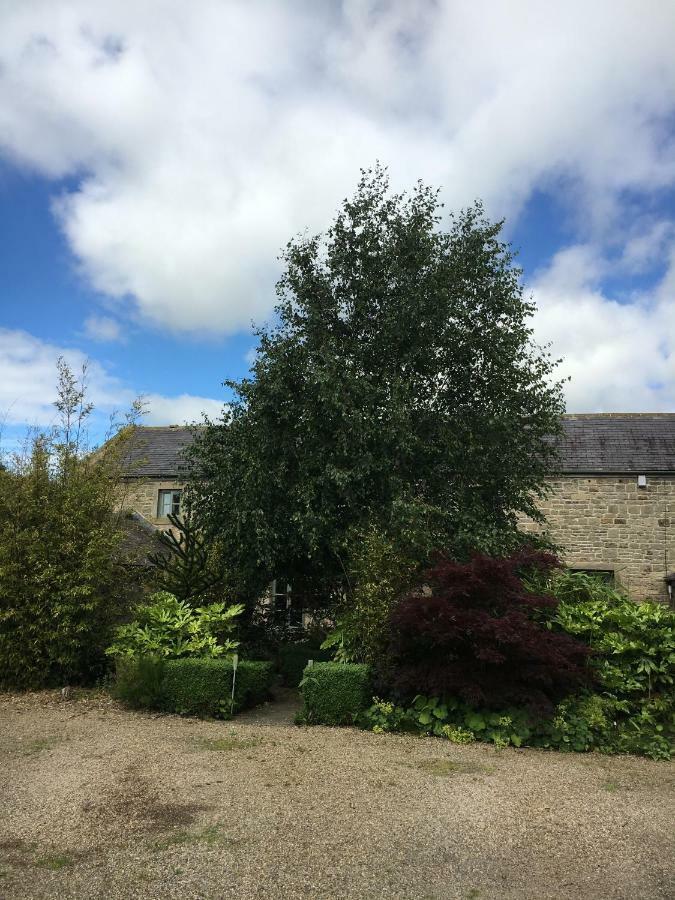 Bed & Breakfast Hemples Newcastle upon Tyne